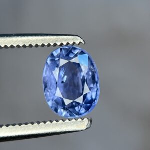 img 0653